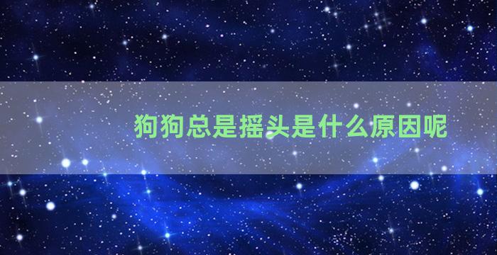 狗狗总是摇头是什么原因呢