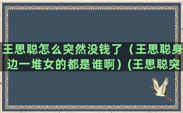 王思聪怎么突然没钱了（王思聪身边一堆女的都是谁啊）(王思聪突然出现直播)