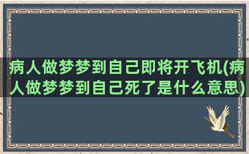 病人做梦梦到自己即将开飞机(病人做梦梦到自己死了是什么意思)