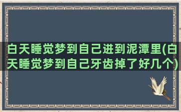 白天睡觉梦到自己进到泥潭里(白天睡觉梦到自己牙齿掉了好几个)