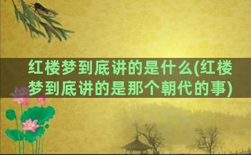 红楼梦到底讲的是什么(红楼梦到底讲的是那个朝代的事)