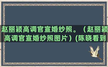 赵丽颖高调官宣婚纱照。（赵丽颖高调官宣婚纱照图片）(陈晓看到赵丽颖官宣)