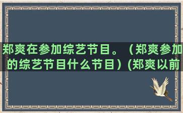 郑爽在参加综艺节目。（郑爽参加的综艺节目什么节目）(郑爽以前参加的综艺)