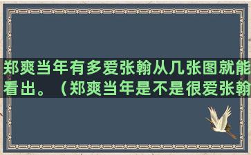 郑爽当年有多爱张翰从几张图就能看出。（郑爽当年是不是很爱张翰）(张翰到底有多爱郑爽)