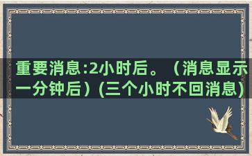 重要消息:2小时后。（消息显示一分钟后）(三个小时不回消息)